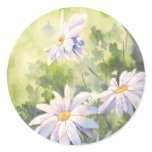 Daisies Stickers