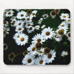 Daisies Stylized I Mouse Pad