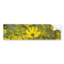 Daisies & Sunshine Bumper Sticker bumper stickers by samuller79 Daisies & Sunshine Bumper Sticker bumper stickers