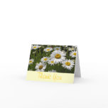 Daisies Thank You Card