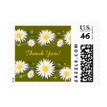 Daisies Thank You