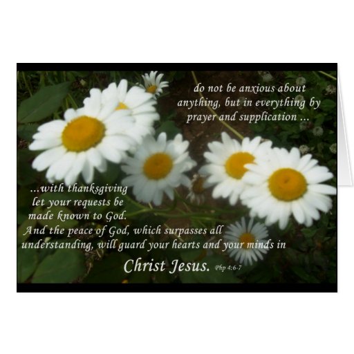 Daisies w/ scripture card Zazzle