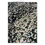 daisies white greeting card
