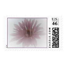 Daisiy Haze Postage
