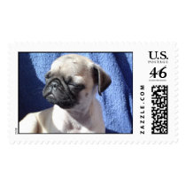 Daisunny postage by Butterflea Daisunny postage