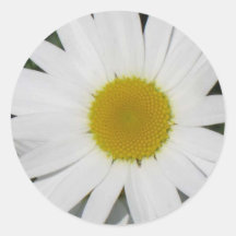 daisy2 round sticker