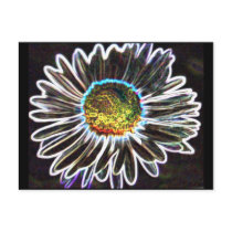 Daisy 1 Glow, Postcard by dtp455 Daisy 1 Glow, Postcard