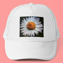 Daisy 1 Hat by dtp455 Daisy 1 Hat