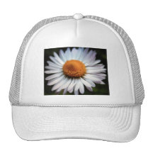 Daisy 1 Hat