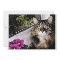 Daisy 1 custom invitations