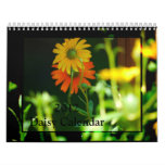 Daisy- 2012 calendar