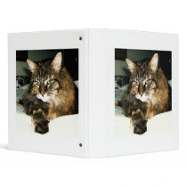 Daisy 2 binders