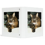 Daisy 2 binders