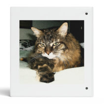 Daisy 2 binders
