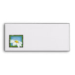 Daisy 2 Letterhead Envelope