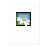 Daisy 2 Postcard