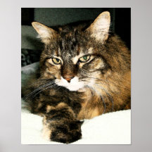 Daisy 2 print