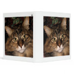 Daisy 3 binders