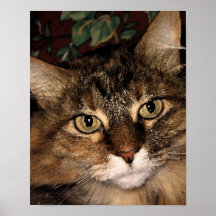 Daisy 3 print
