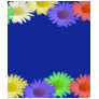 daisy-3 tee shirts