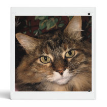 Daisy 3 binders
