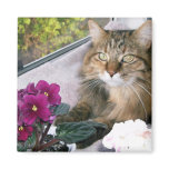 Daisy 4 fridge magnets