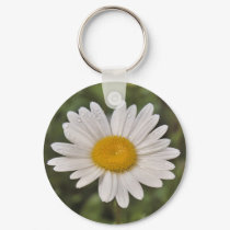 Daisy After the Rain Keychain by Captain_Panama Daisy After the Rain Keychain