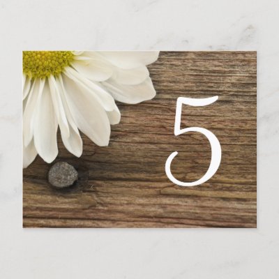 Daisy and Barn Wood Country Wedding Table Number Postcard by loraseverson