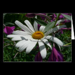 Daisy and Fireweed Card