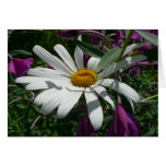 Daisy and Fireweed Card