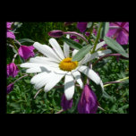 Daisy and Fireweed Print