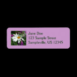 Daisy and Fireweed Return Address Label