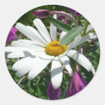 Daisy and Fireweed Sticker