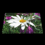 Daisy and Fireweed Stretched Canvas Print