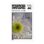 Daisy and Pearls Love Postage Stamp
