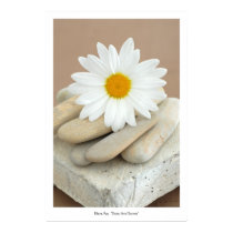 Daisy And Stones posters by DevaRay Daisy And Stones posters