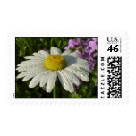 Daisy and Summer Lilac Postage Stamps