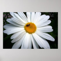 Daisy and The Bee Print