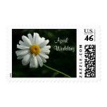 Daisy,  April  Wedding Stamp