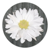 Daisy & Barnwood Sticker