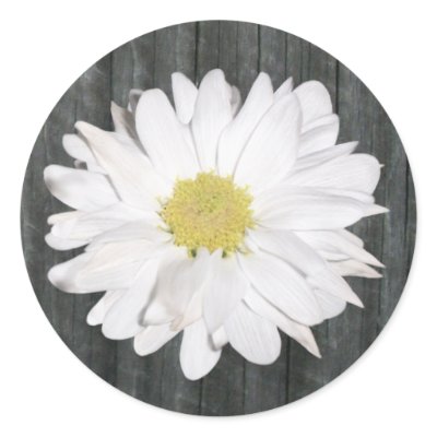 Daisy &amp; Barnwood Sticker