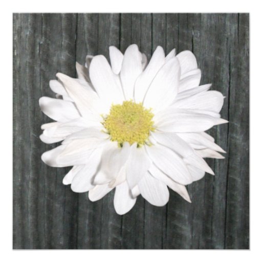 Daisy & Barnwood Wedding Invitation