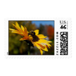Daisy Bee Stamp stamps