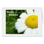 Daisy Birthday Cards