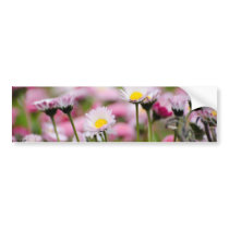 Daisy Blossoms Elegant  Romantic  Wedding Parties Bumper Stickers