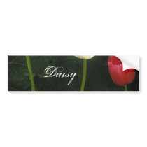 Daisy bumper stickers by lollypopgirrrl Daisy bumper stickers