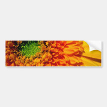 Daisy Bumper Sticker