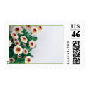 Daisy Bunch (1) (Customize) postage by MarkoMarko Daisy Bunch (1) (Customize) postage