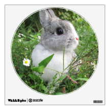 Daisy Bunny Room Decals