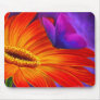 DAISY & BUTTERFLY ART PAINTING - MULTI MOUSE PAD